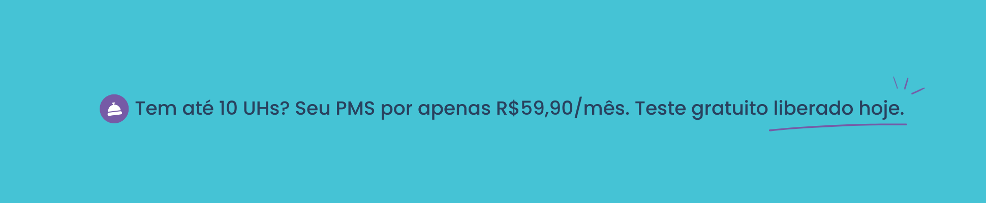 PMS econômico e fácil de usar