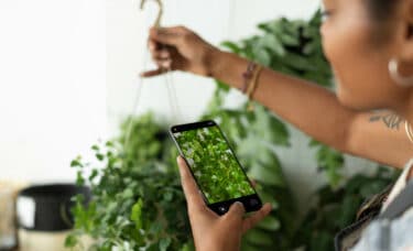Como engajar os hóspedes com campanhas de sustentabilidade nas redes sociais