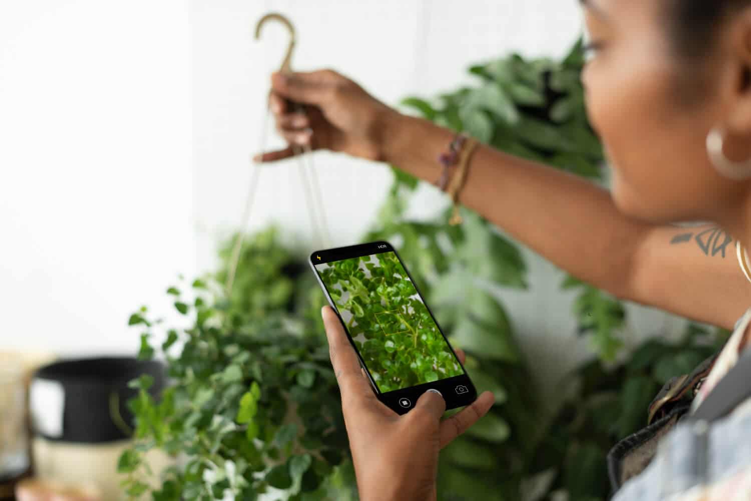 campanha de sustentabilidade